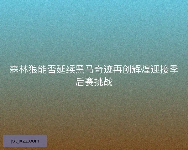 森林狼能否延续黑马奇迹再创辉煌迎接季后赛挑战